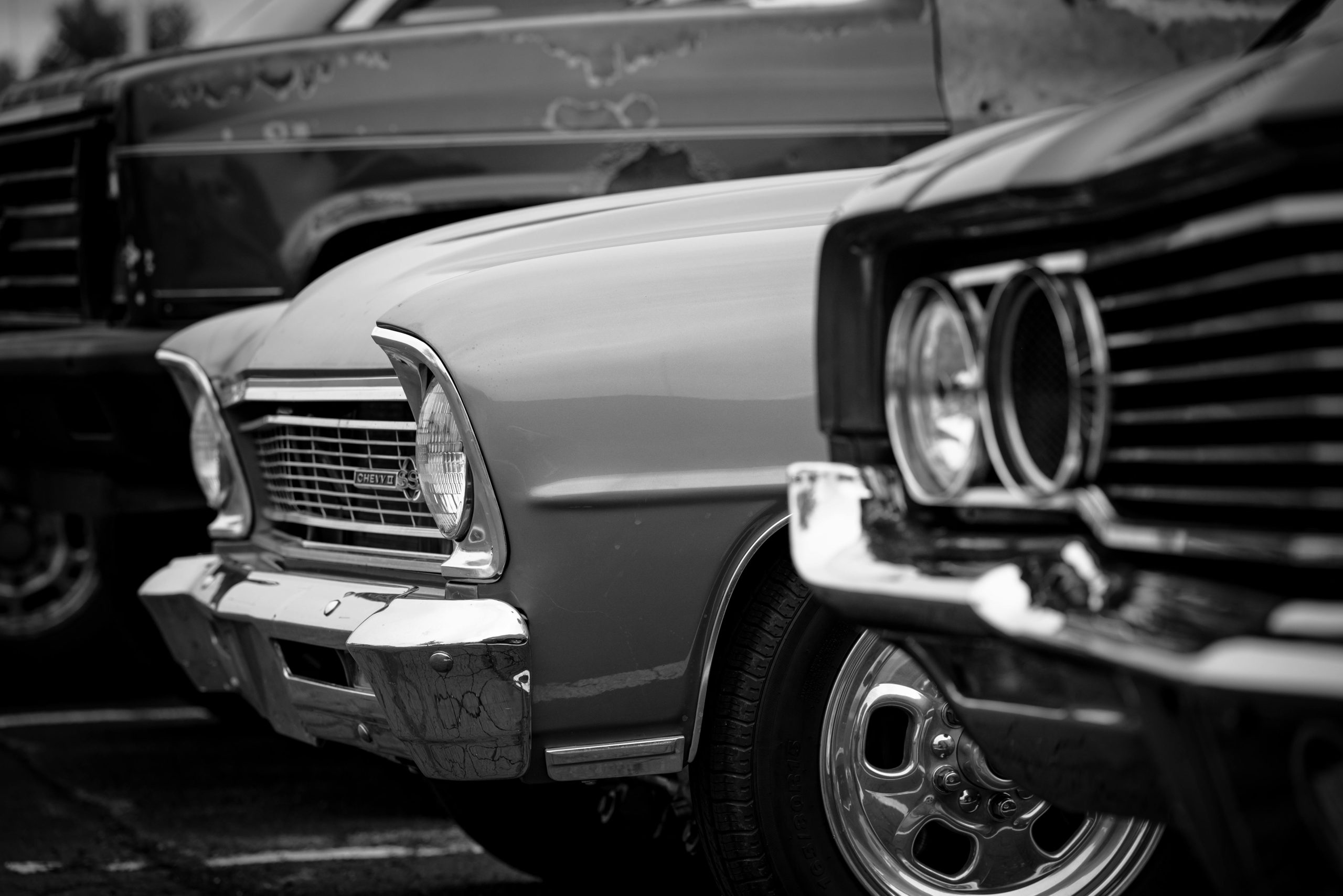 pexels chris f 38966 12954631